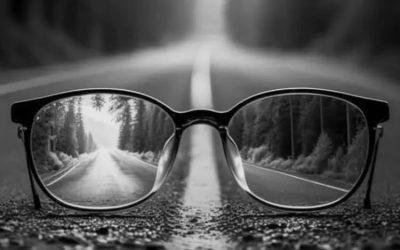 NEGLIGENCIA DE LA PROBABILIDAD: LA ESTRATEGIA DEL AVESTRUZ