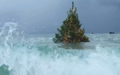 EQUIVOCARSE NO ES FRACASO