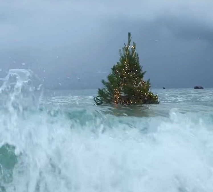 EQUIVOCARSE NO ES FRACASO