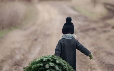 SINDROME DEL ENERO ANTICIPADO