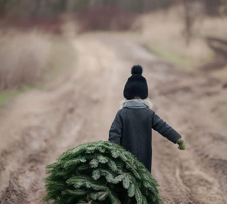 SINDROME DEL ENERO ANTICIPADO