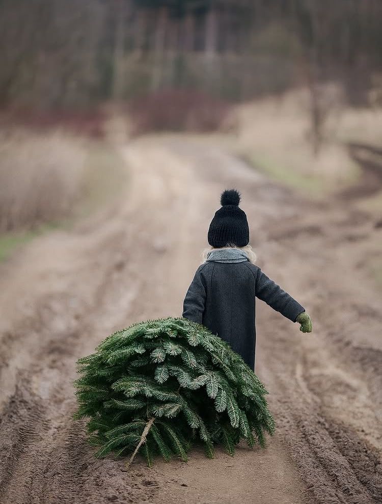 antoniorodriguezpsicocoach