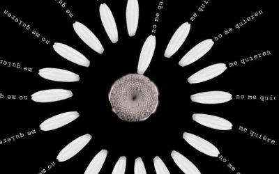 DESHOJAR LA MARGARITA: EL SÍNDROME