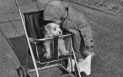 TEORÍA DEL DESAPEGO