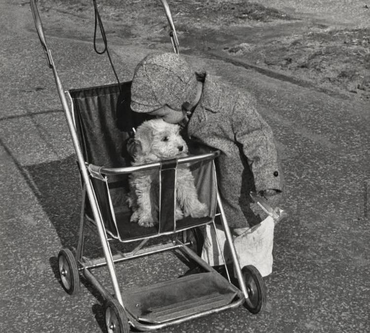 TEORÍA DEL DESAPEGO