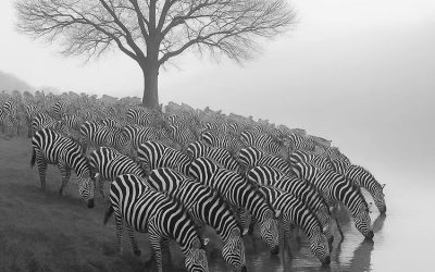 BIENESTAR Y PRODUCTIVIDAD: ENORME INFLUENCIA