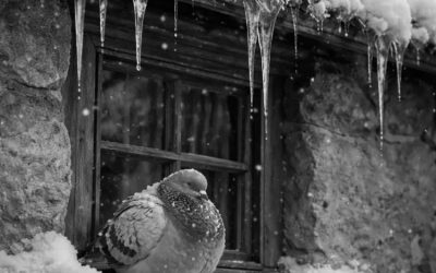 AUTOSABOTAJE: EL ENEMIGO INTERIOR