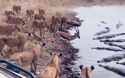 LA INVALIDACIÓN DEL MALESTAR