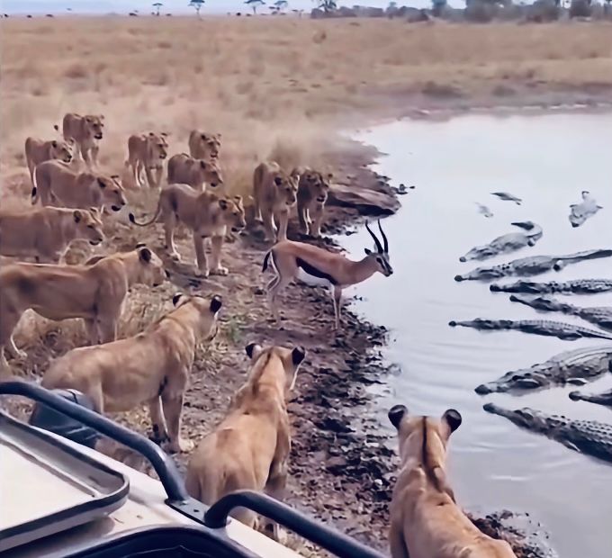 LA INVALIDACIÓN DEL MALESTAR