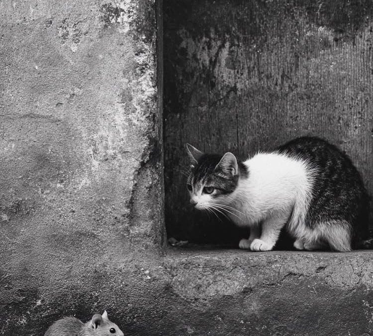 “¿HAY SUBIDAS DE SUELDO QUE SON PROVOCACIONES?”