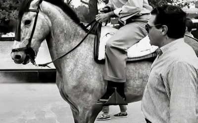 ARRANCADA DE CABALLO, PARADA DE BURRO