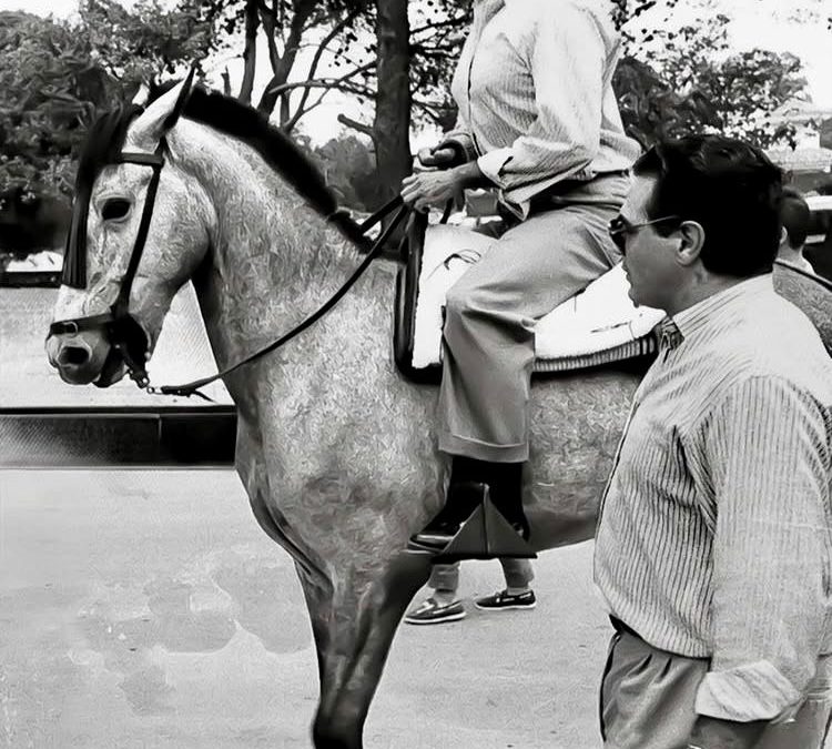 ARRANCADA DE CABALLO, PARADA DE BURRO